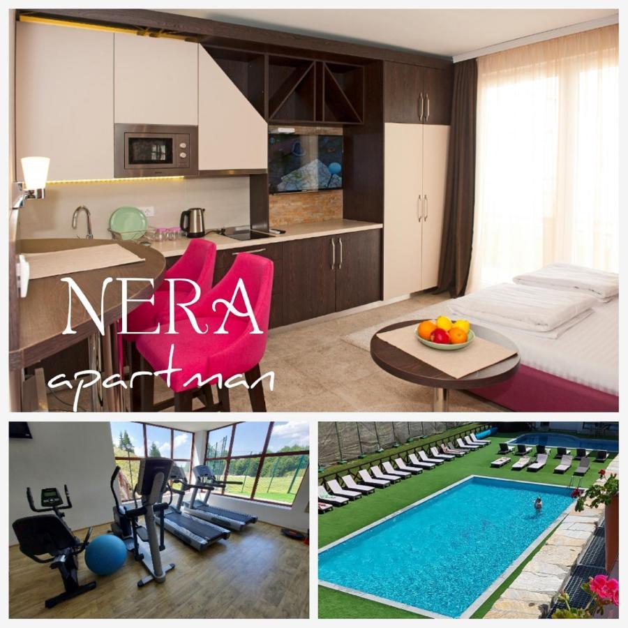 Appartement Apartman Nera - U Kraljevim Cardacima Kopaonik Extérieur photo